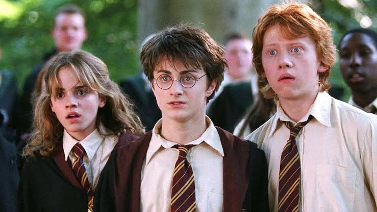 Cartel de Harry potter